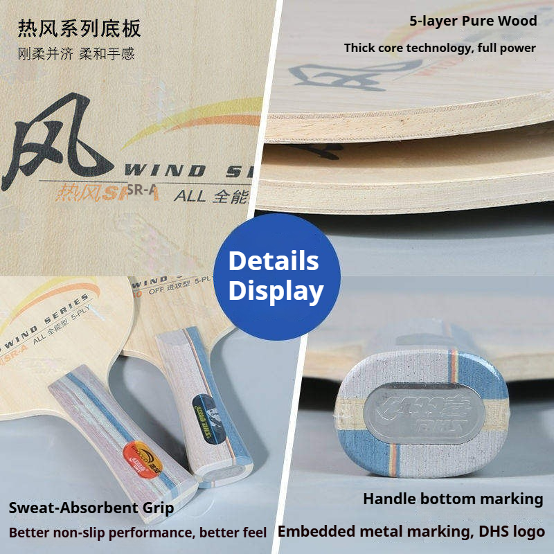 DHS WIND SERIES Table Tennis B - Table Tennis Table 评论和价格