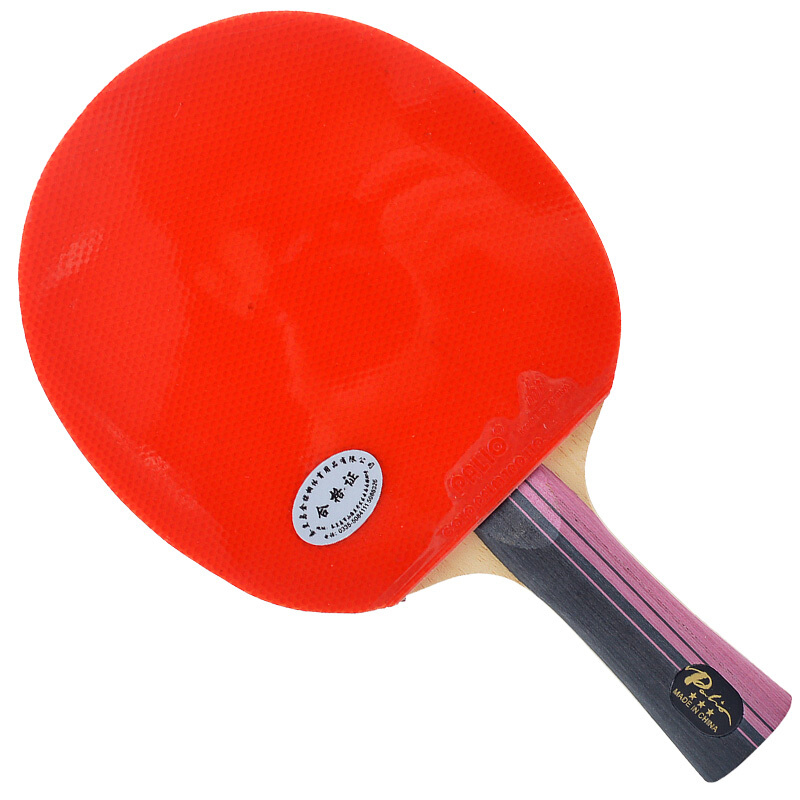 Original PALIO 3 Stars Carbon  - Table Tennis History 评论和价格