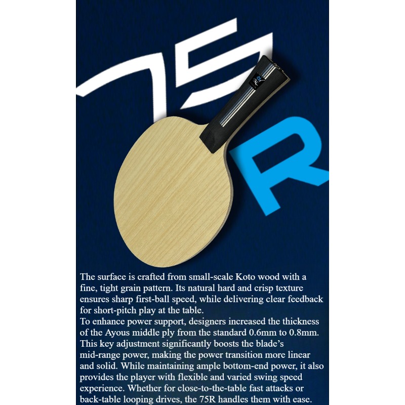 SANWEI 75R 5+2 Outer H-GLC Tab - Table Tennis Table 评论和价格